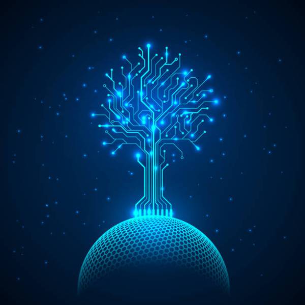 Comment recruter au stade Seed : valider le produit et structurer l’équipe à Marseille